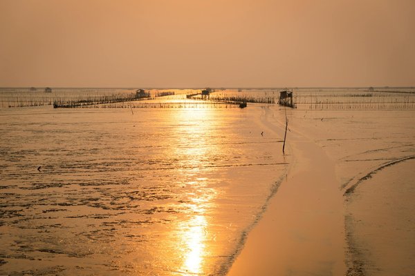 Les 10 camping-cars d'occasion les plus avantageux à explorer
