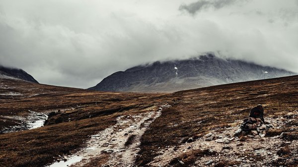 Voyages en tanzanie : émotions sauvages entre savane, volcans et plages de rêve