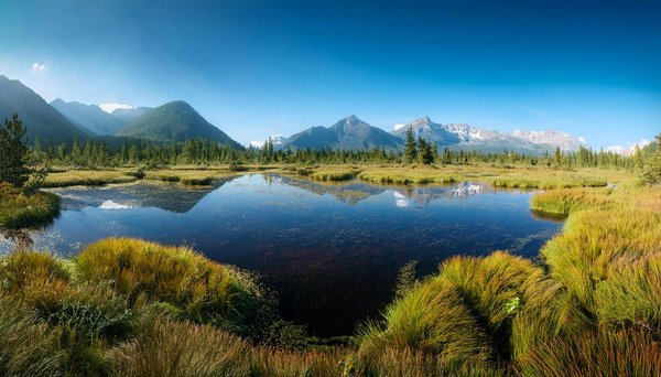 Escapade à venise : préparez votre voyage inoubliable